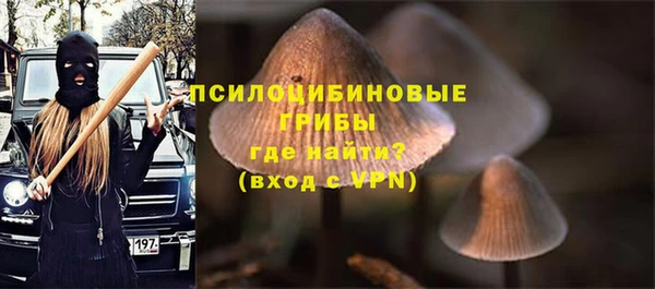 соль ск Алексеевка