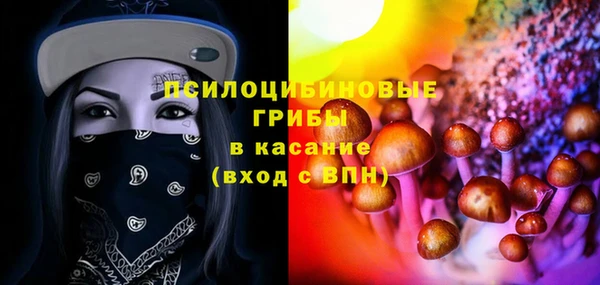 эйфоретик Арсеньев